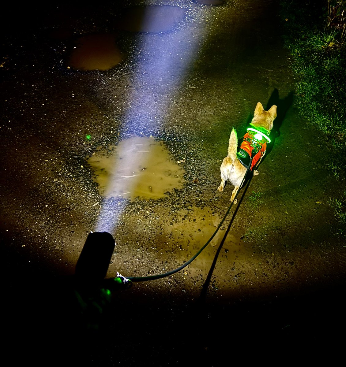 Dad keeps calling me Padawan Fred! Pff what is diz ?