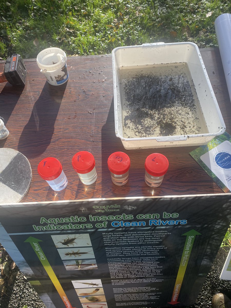 Enda Fields tweet media