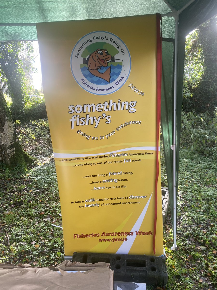 Enda Fields tweet media