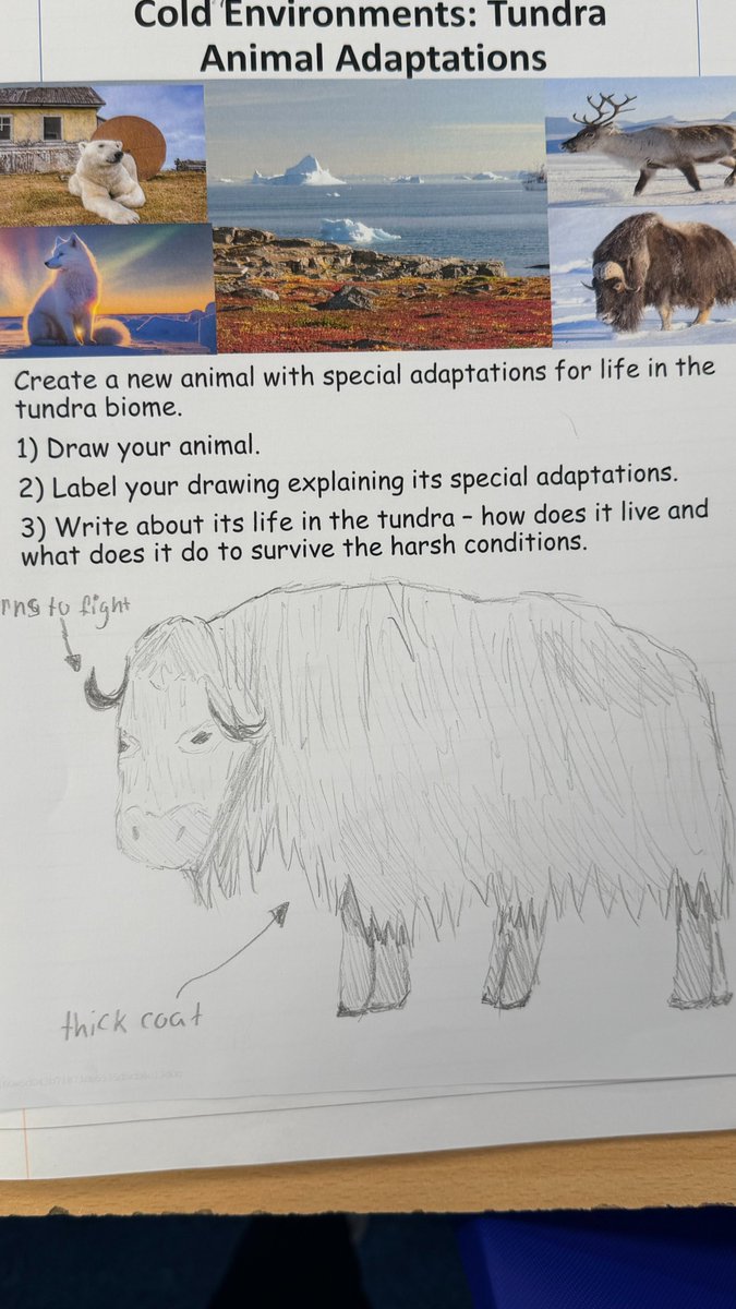 Beech Academy tweet media