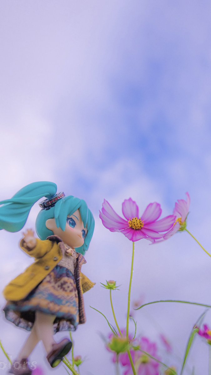 さとさと🕊️ on X