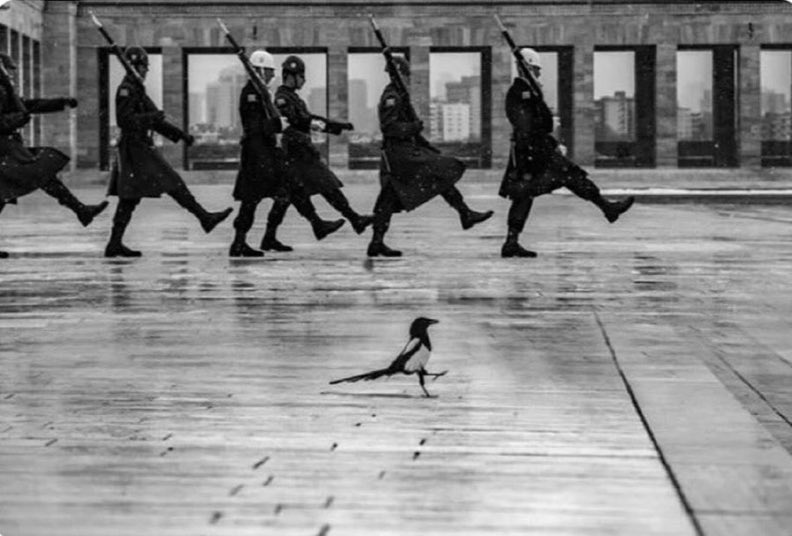 Anıtkabir'de çekilen bir fotoğraf.