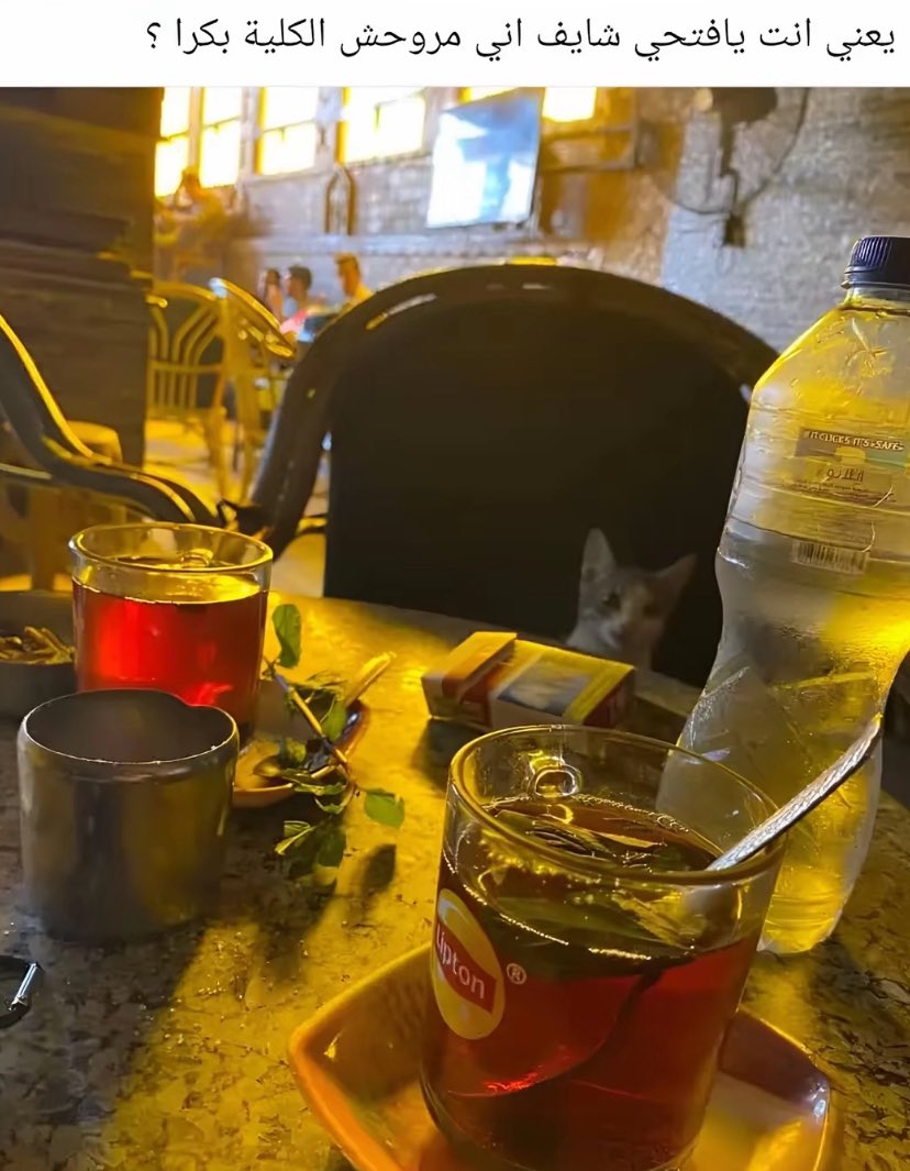 hamzeh (@kasasbeh0) on Twitter photo 