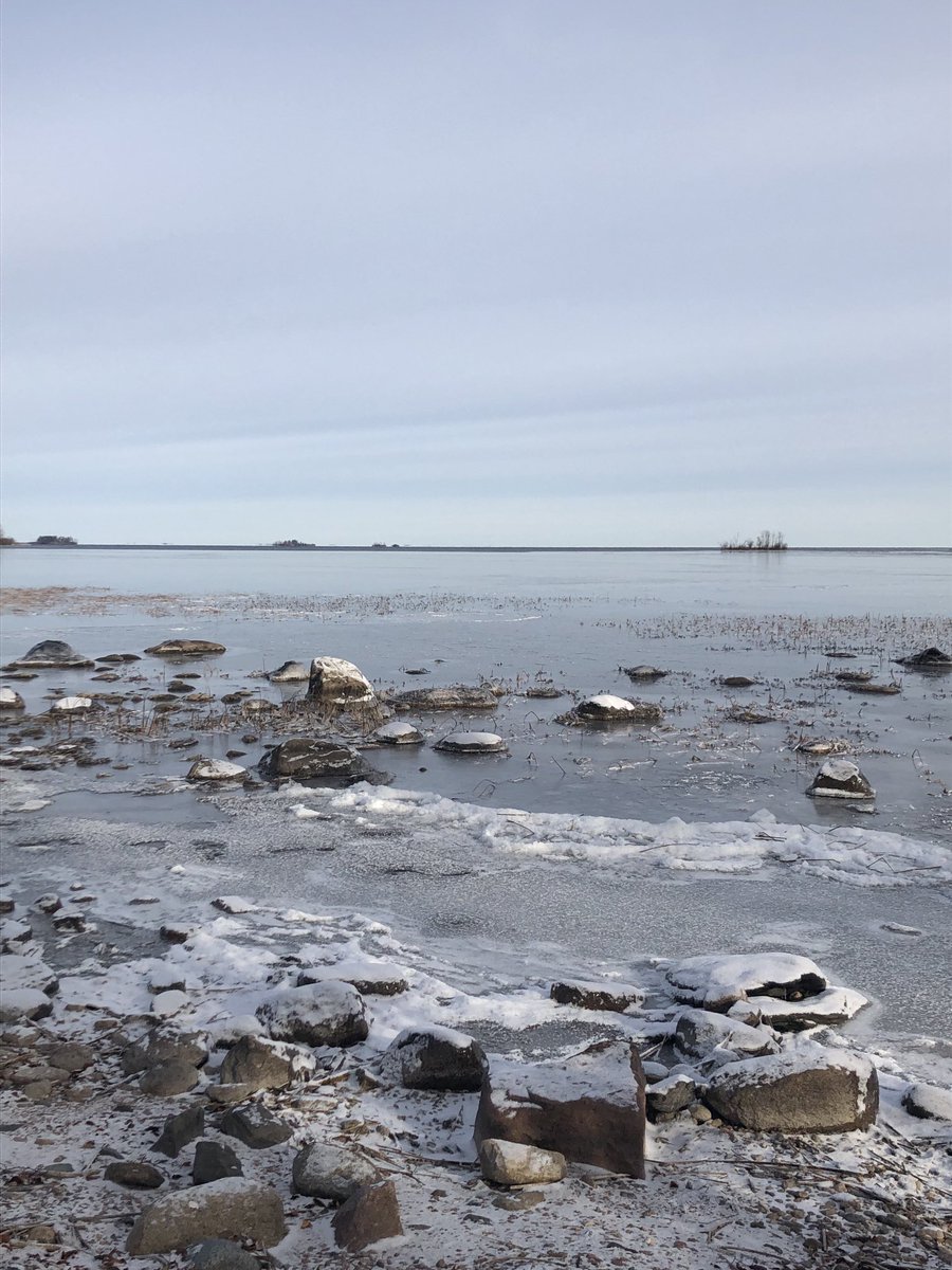 Half the small bay froze last night. Thin, but a great start to ski and sled season. #Laronge