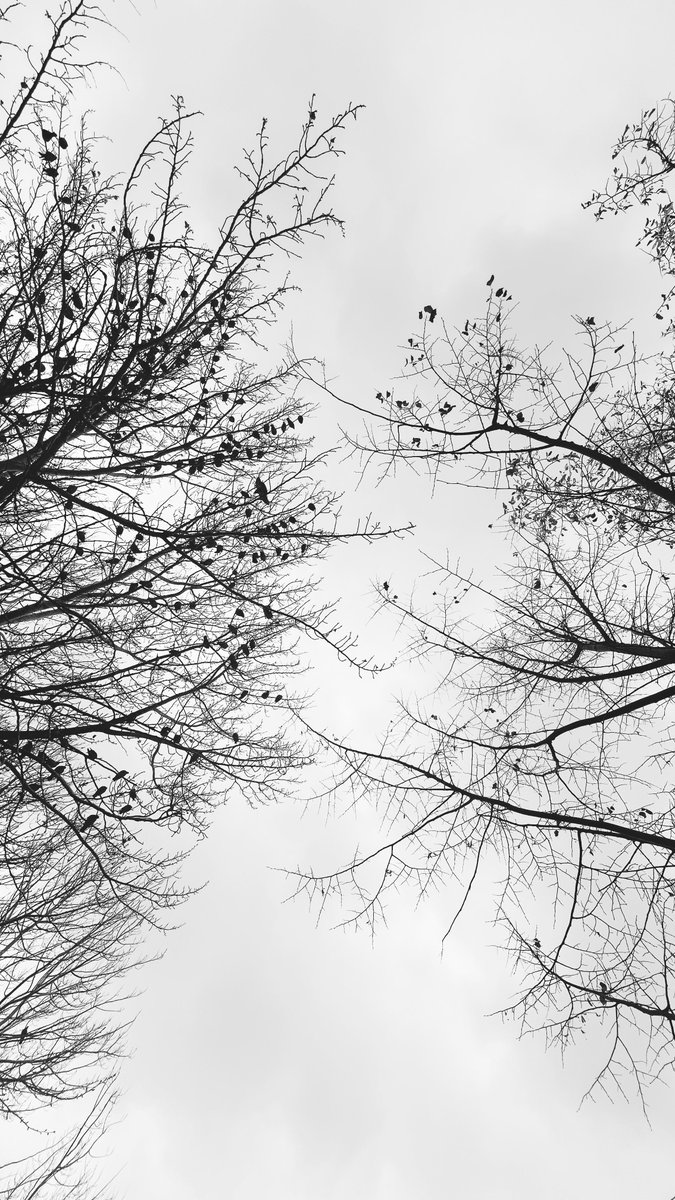 birds__photo's tweet image. ..