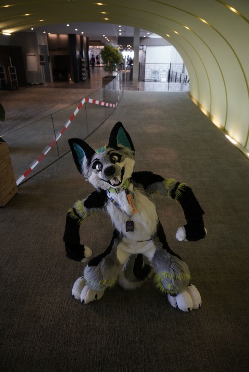 Ziggy Spidox ^,,^ tweet media