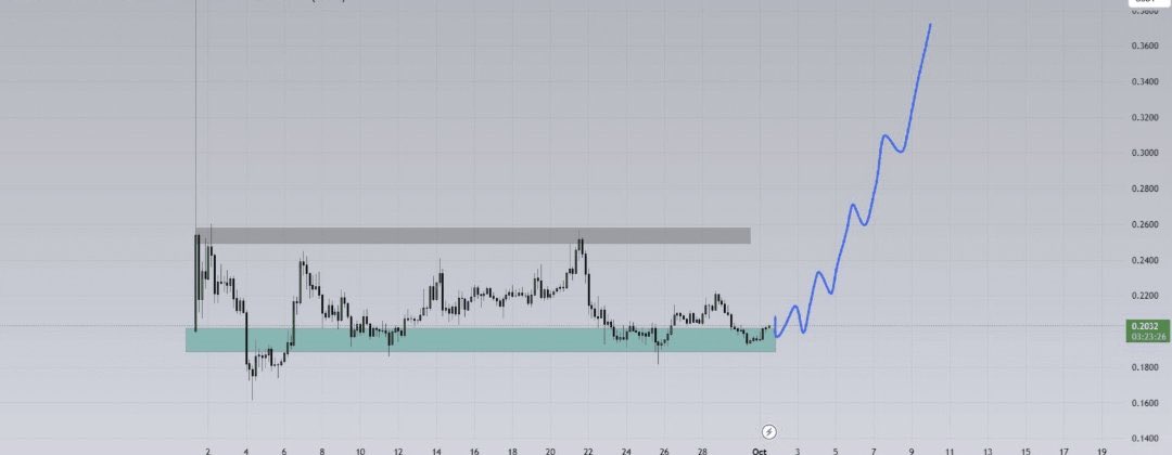 Catoshi Nakameowto tweet media