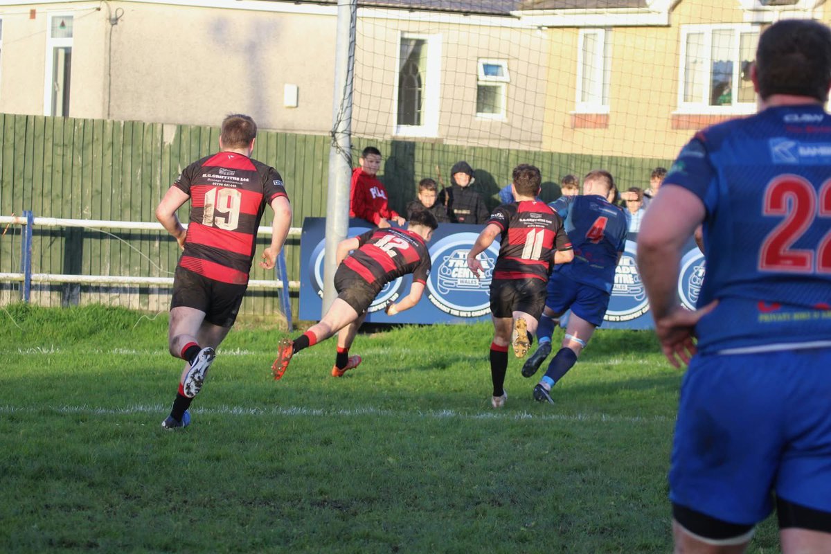 Sue Bows tweet media