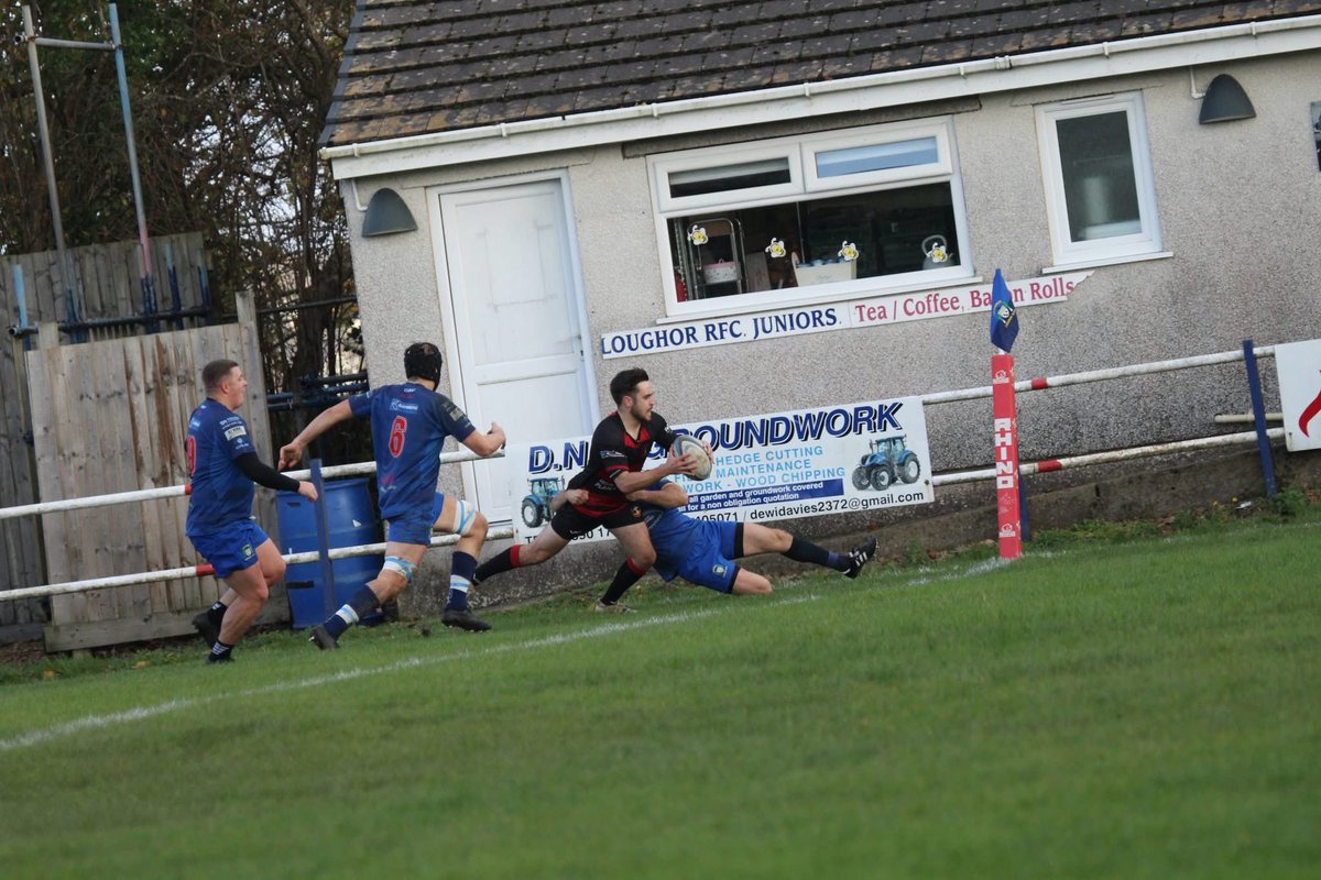 Sue Bows tweet media