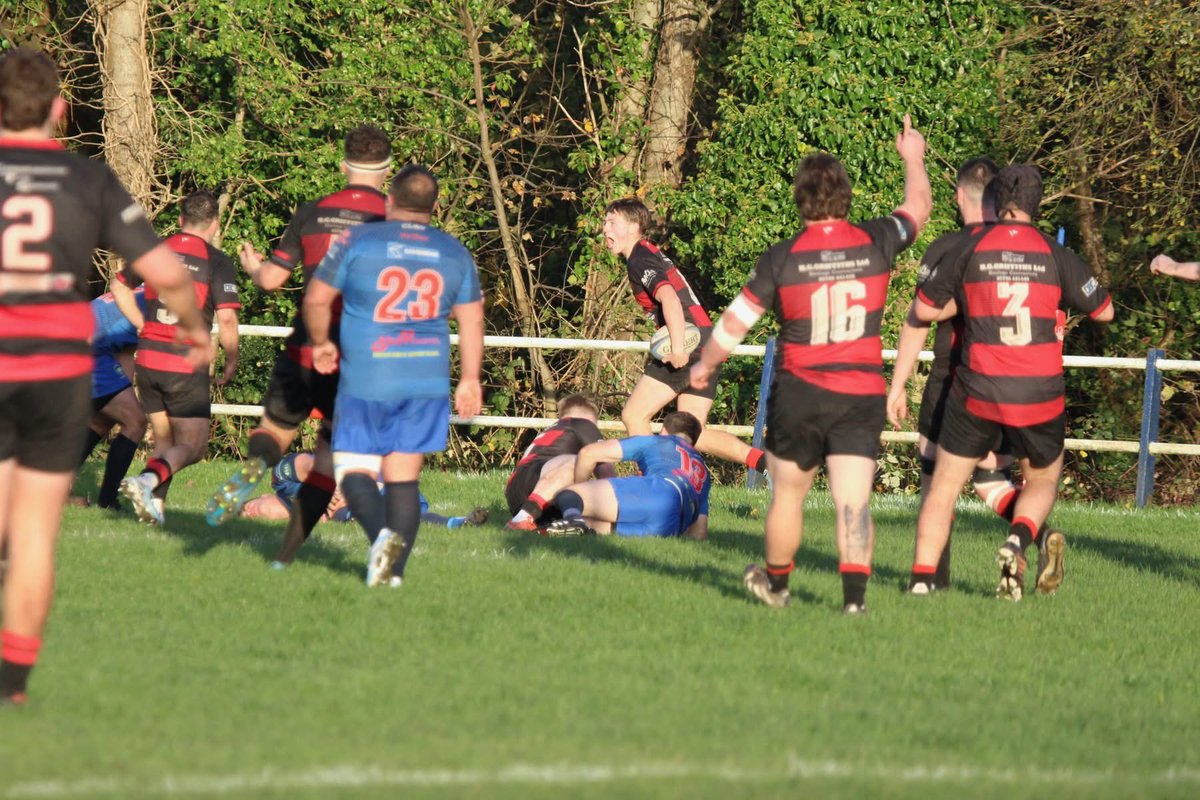 Sue Bows tweet media