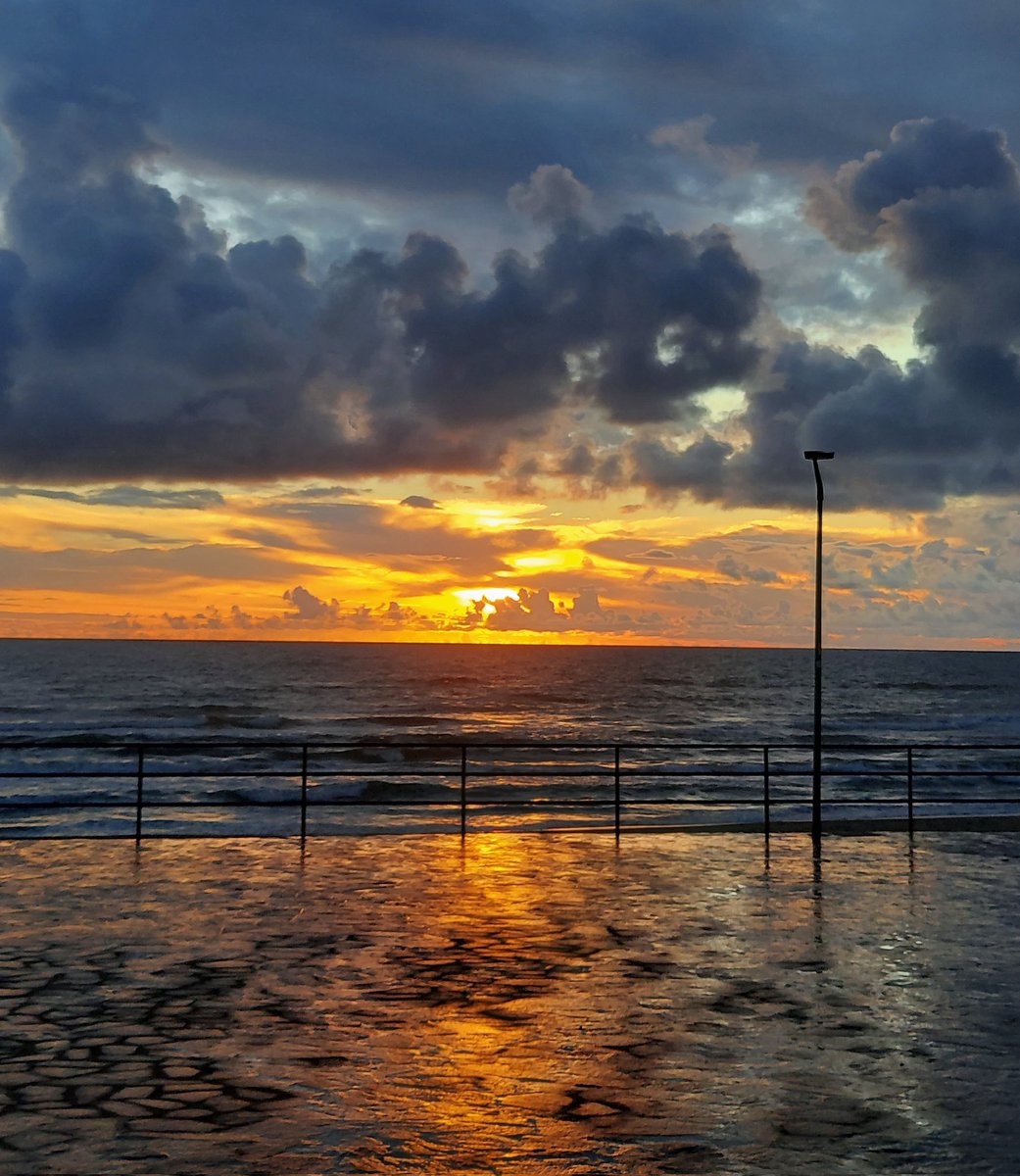 Maria Lea tweet media