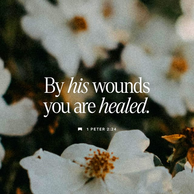 Rev. Jphil65 (@jeffphil91762) on Twitter photo 