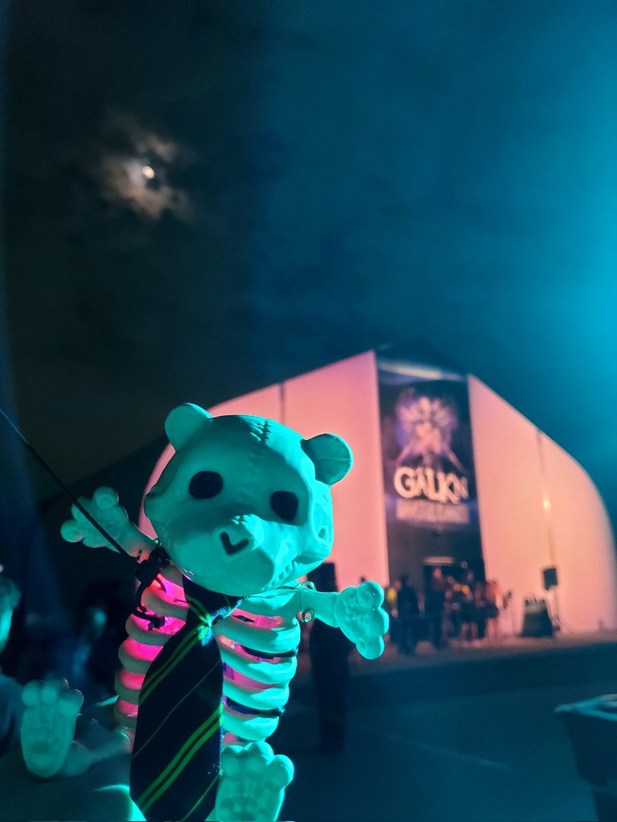 Lil HHN Bear 🐻 tweet media