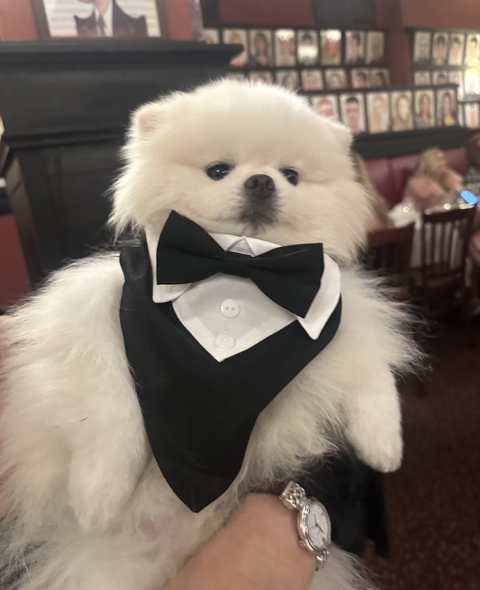 Jackie Siegel, The Queen of Versailles tweet media