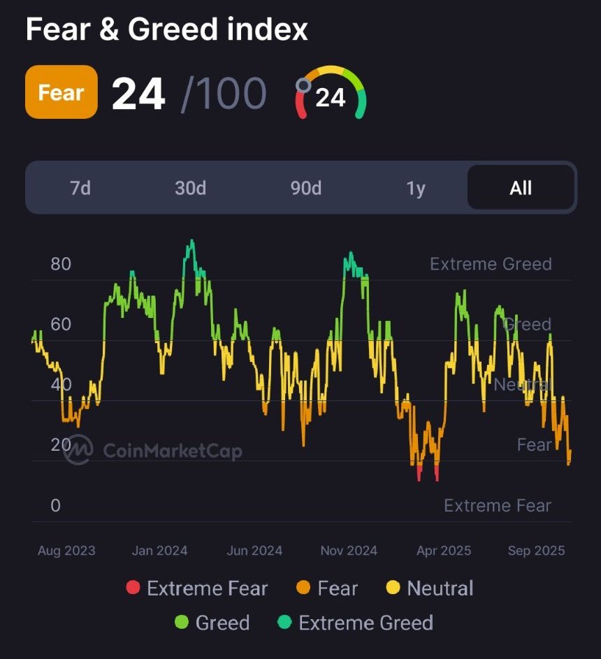 Crypto Vikings tweet media