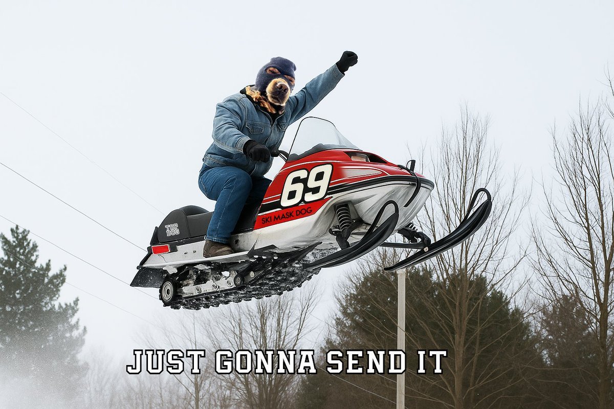 It's time to $SKI. 3 billion MC by December end! 100x coded.