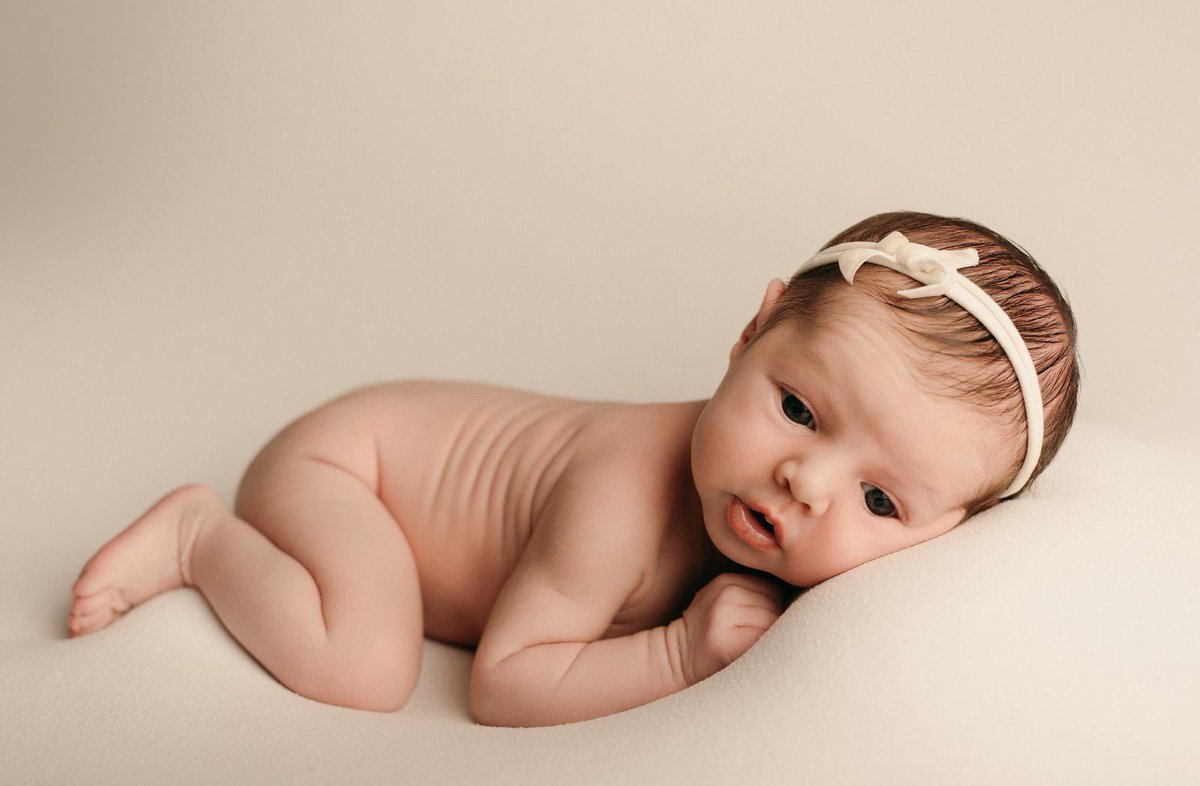 James Mccarten tweet media