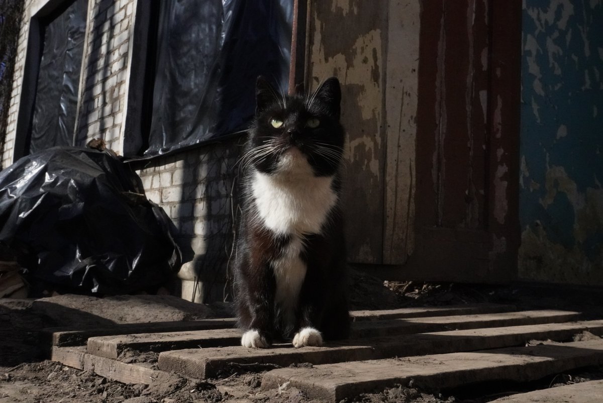 Чорті Чорт tweet media