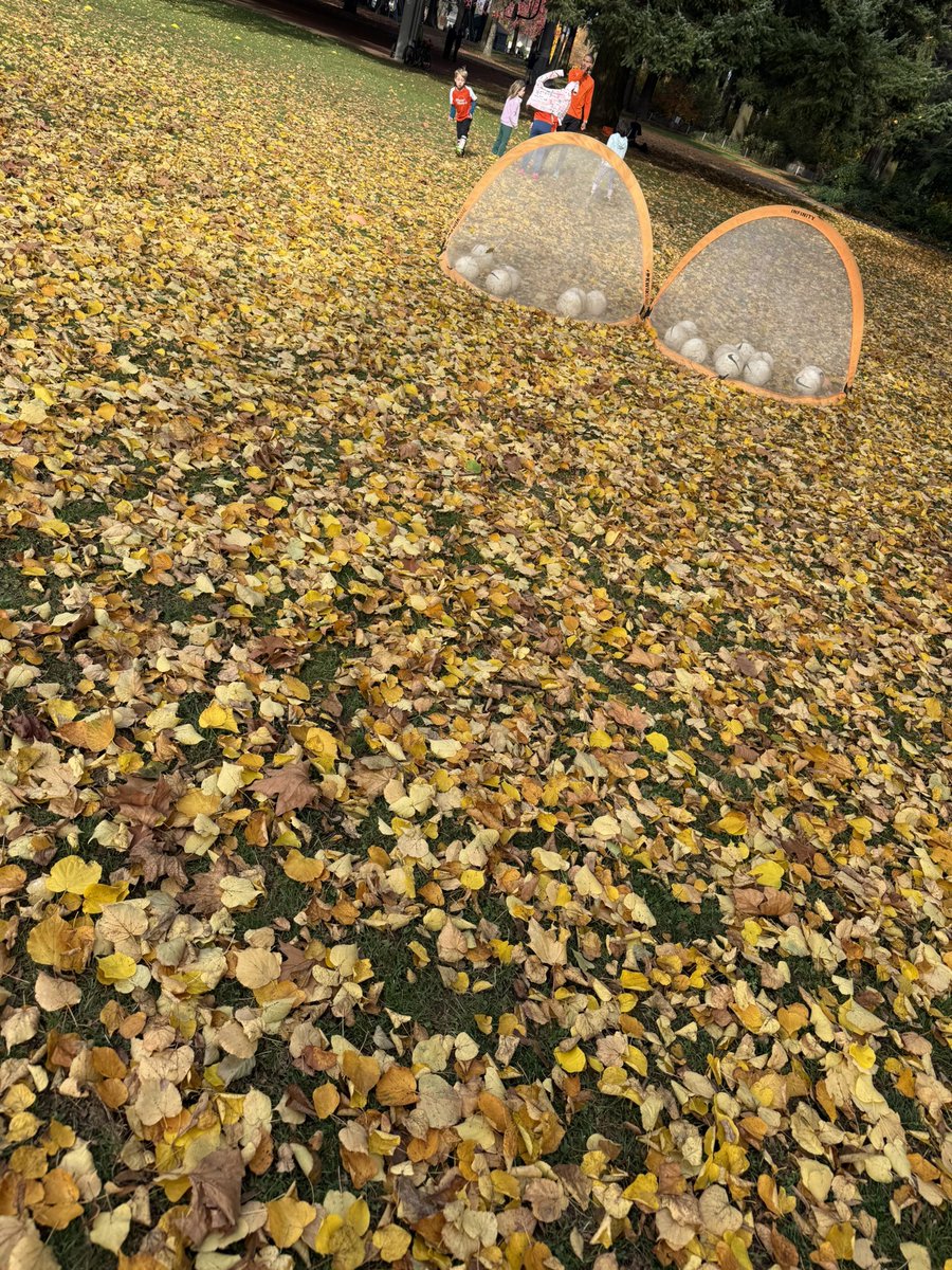 Today’s soccer game brought to you by all the leafs