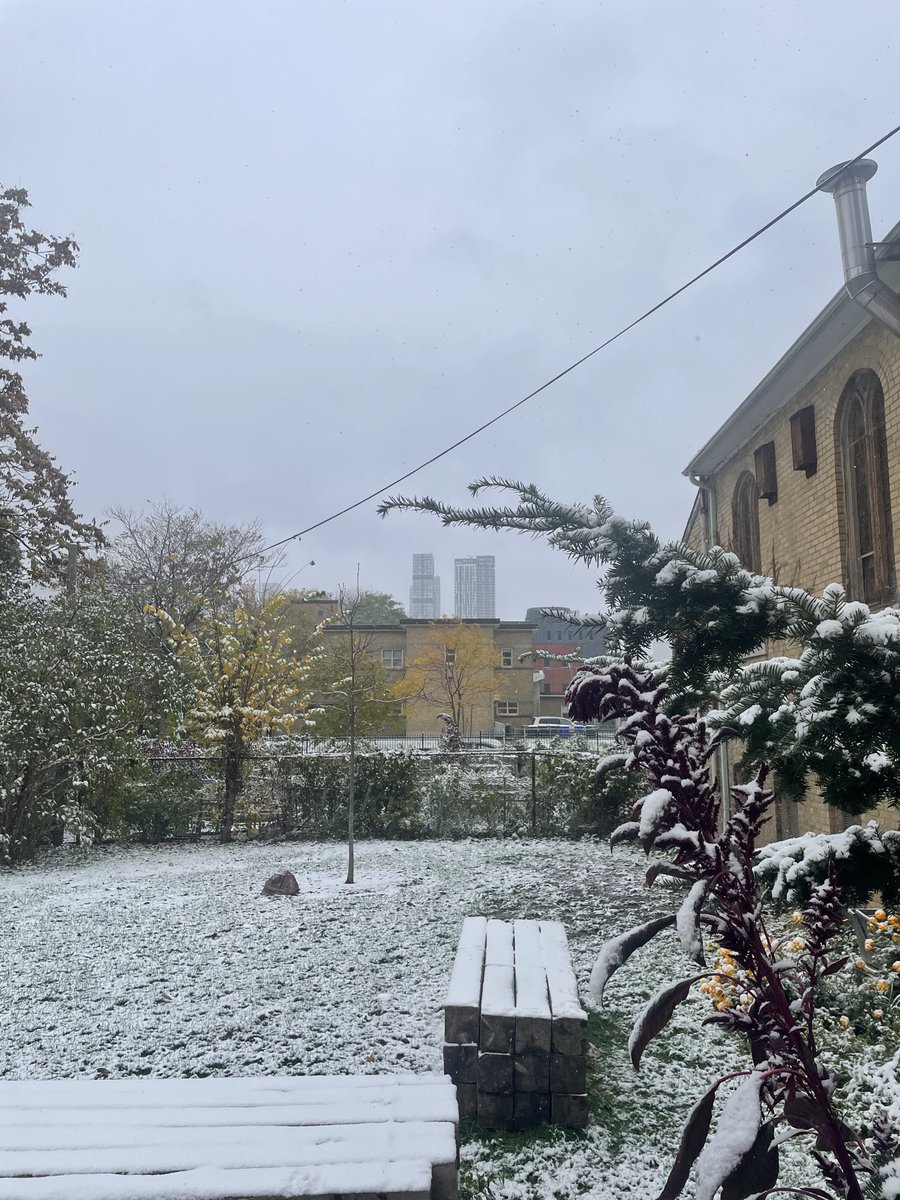 CalvinQuick01's tweet image. Before and after mass, first snow of winter in Toronto today…

(it’s been only 5 months since I was last in a place with snow!)