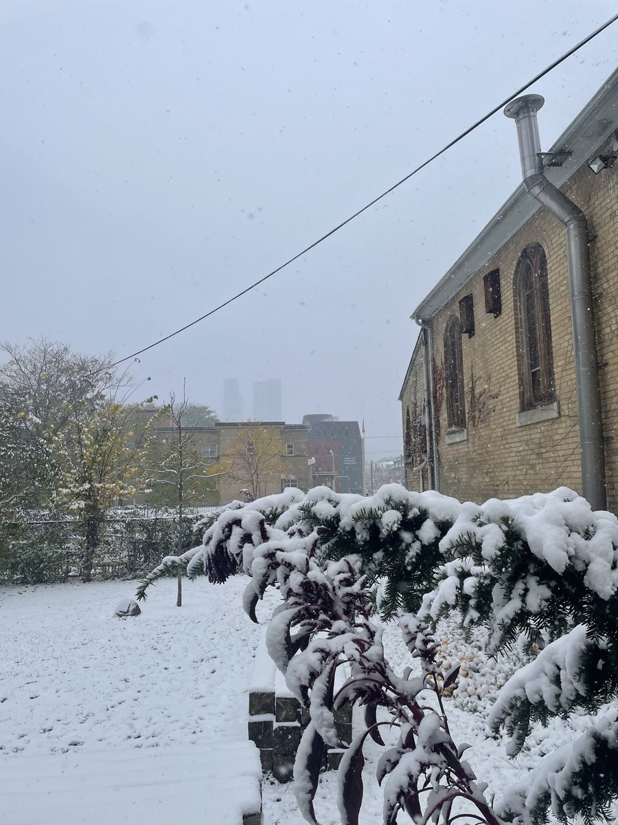 CalvinQuick01's tweet image. Before and after mass, first snow of winter in Toronto today…

(it’s been only 5 months since I was last in a place with snow!)