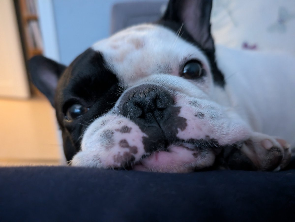 Maria Wiman tweet media