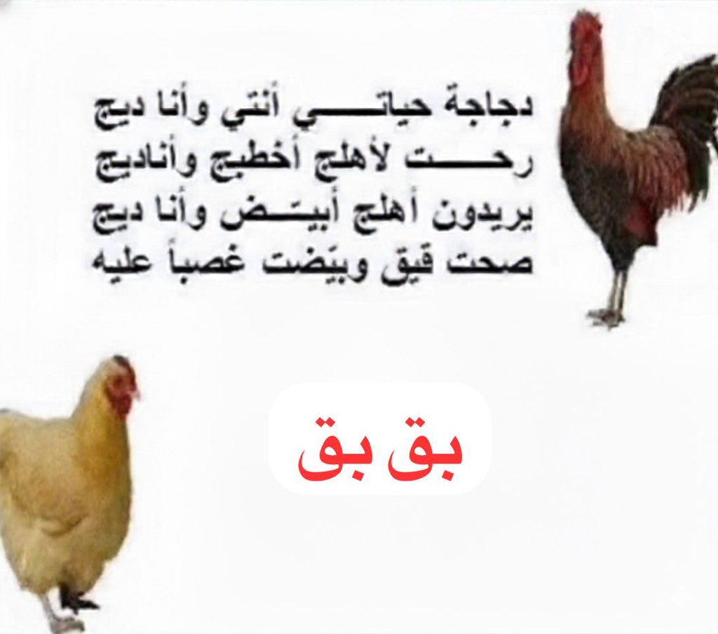 علي راشد (@onlyarr0) on Twitter photo 