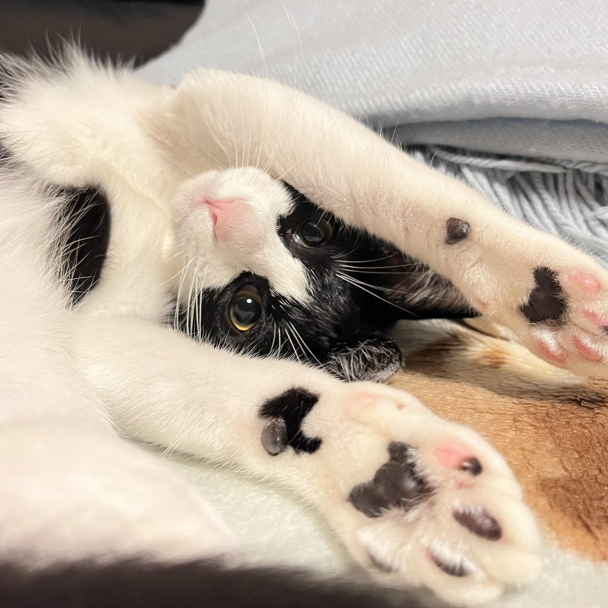 各局、おはようございます。
今週もよろしくお願いします。
1週間FBに〜