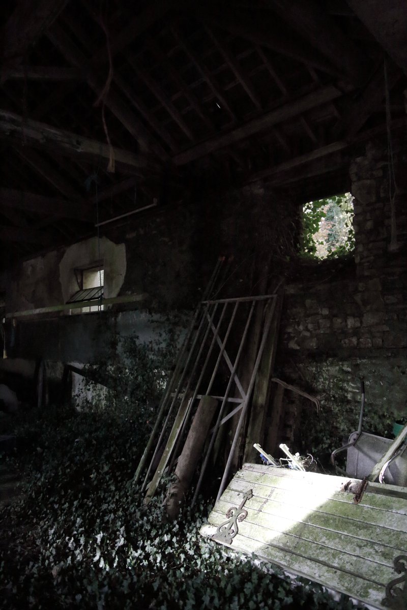 DrDFoster's tweet image. 