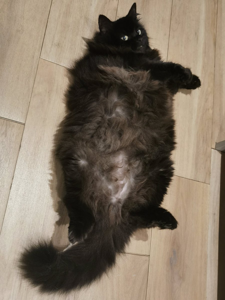 когда поел мяса