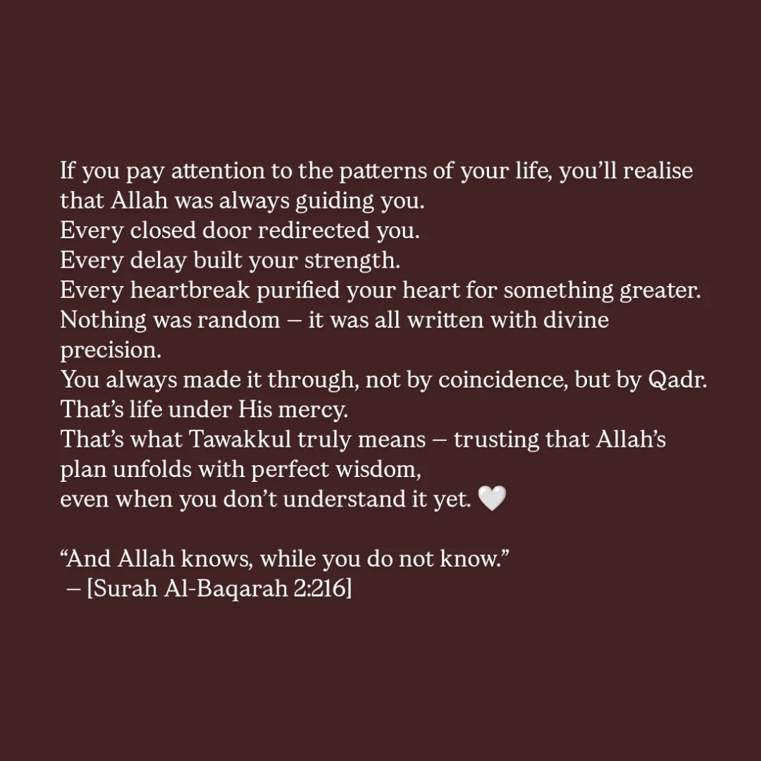 itx_me_nida's tweet image. 