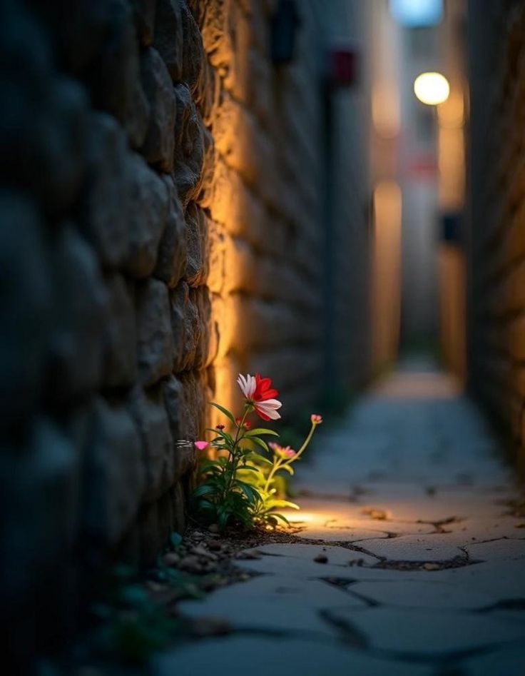 Dikkatli ol,
İnsanlar için fazla şey yaptığında
Çabanı sevmeye başlarlar.
                              Kalbini değil...❤️‍🩹