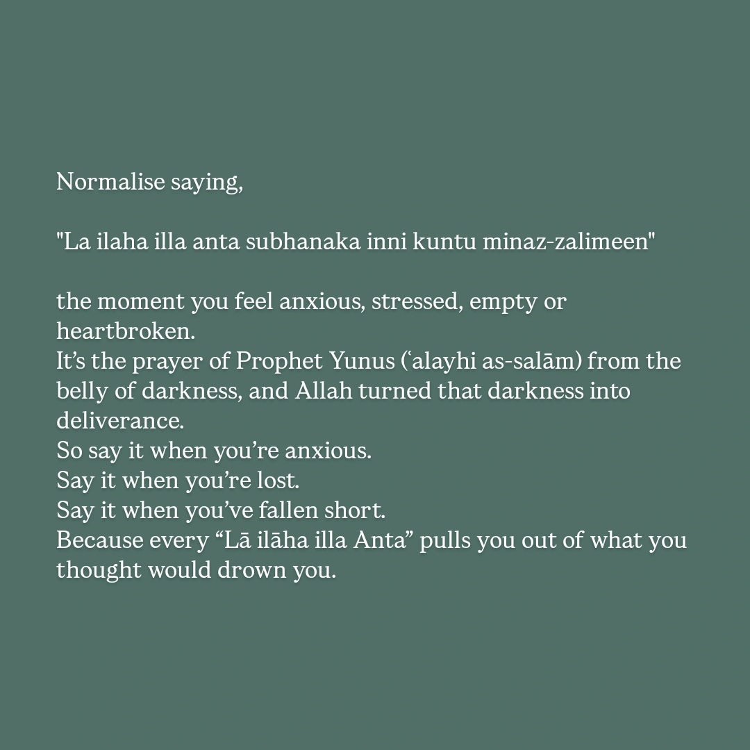 itx_me_nida's tweet image. 