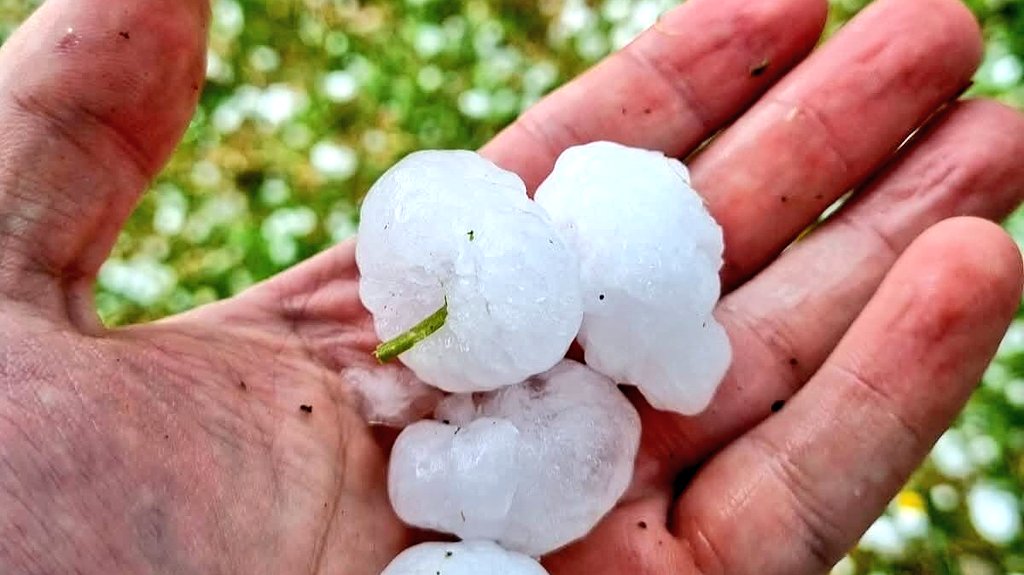 2016cruce's tweet image. ✅ Reportan caída de granizo y tormentas eléctricas en la comuna de #Panguipulli

#tormentaelectricas #truenos #granizo #valdiviacl #losrios #chile