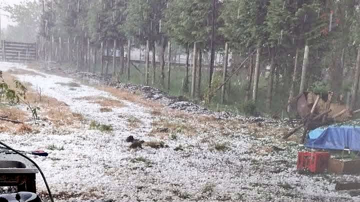 2016cruce's tweet image. ✅ Reportan caída de granizo y tormentas eléctricas en la comuna de #Panguipulli

#tormentaelectricas #truenos #granizo #valdiviacl #losrios #chile