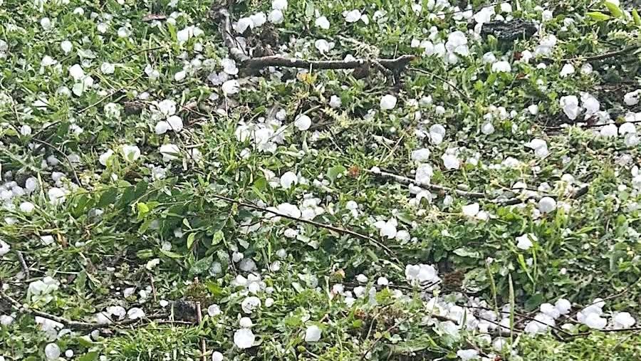 2016cruce's tweet image. ✅ Reportan caída de granizo y tormentas eléctricas en la comuna de #Panguipulli

#tormentaelectricas #truenos #granizo #valdiviacl #losrios #chile