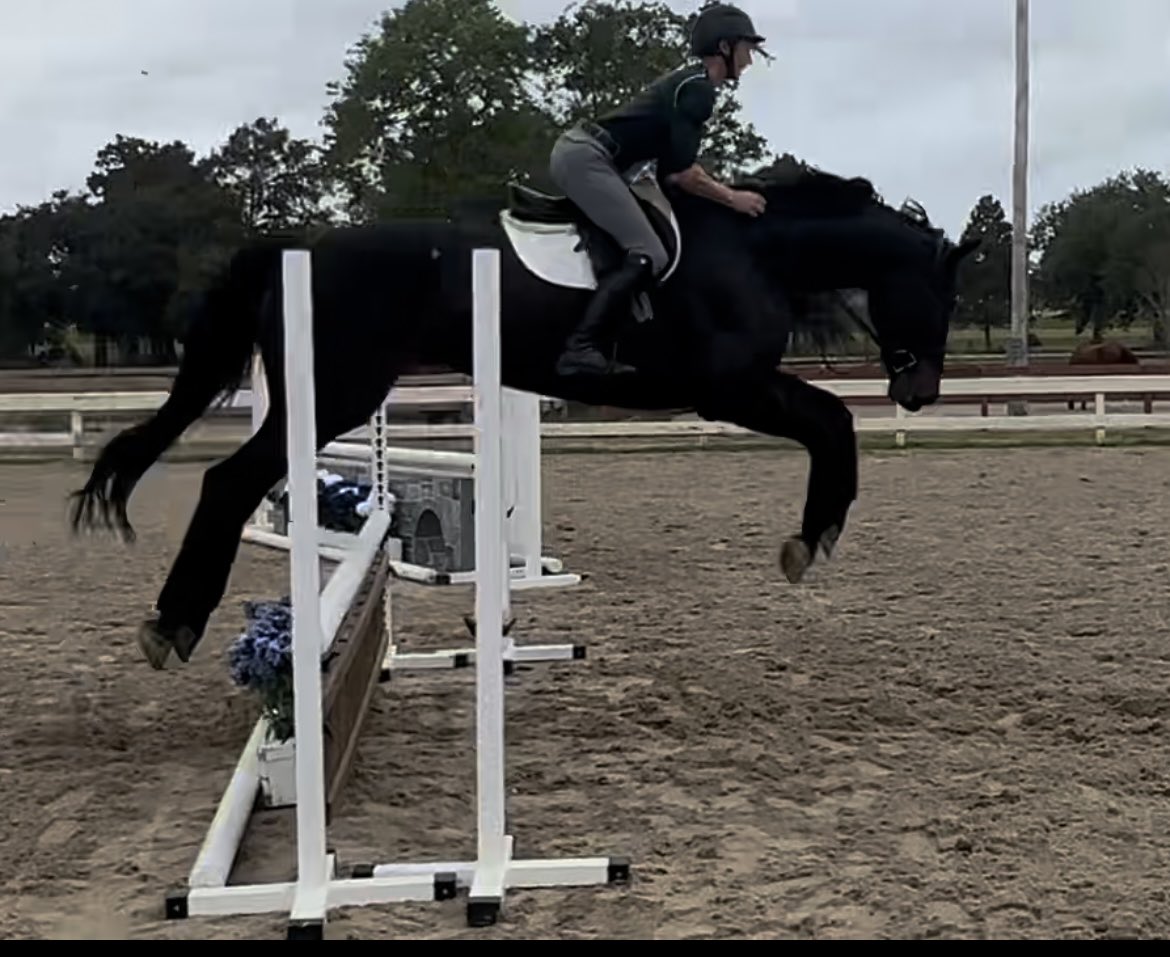 Spooked Equine tweet media
