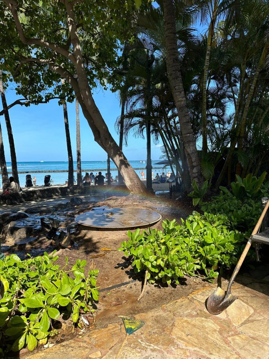 yeahiam's tweet image. Vacation mode activated, no work emails to be found #USA #Travel