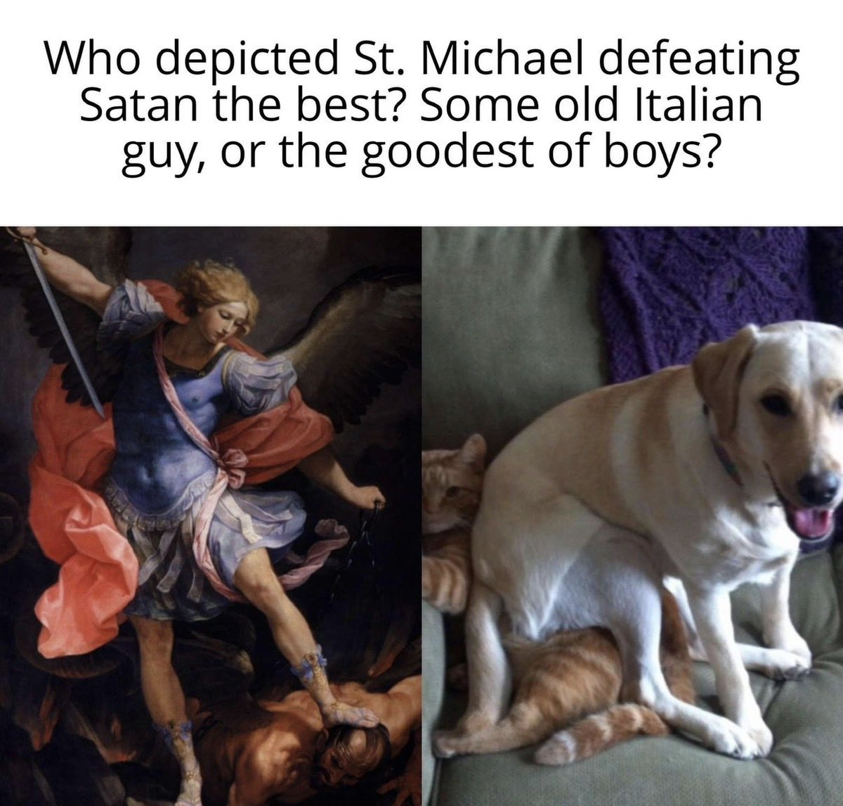 Wholesome Sunday Meme. ☺️