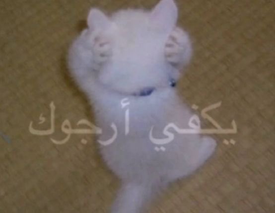 الاصوات الداخلية