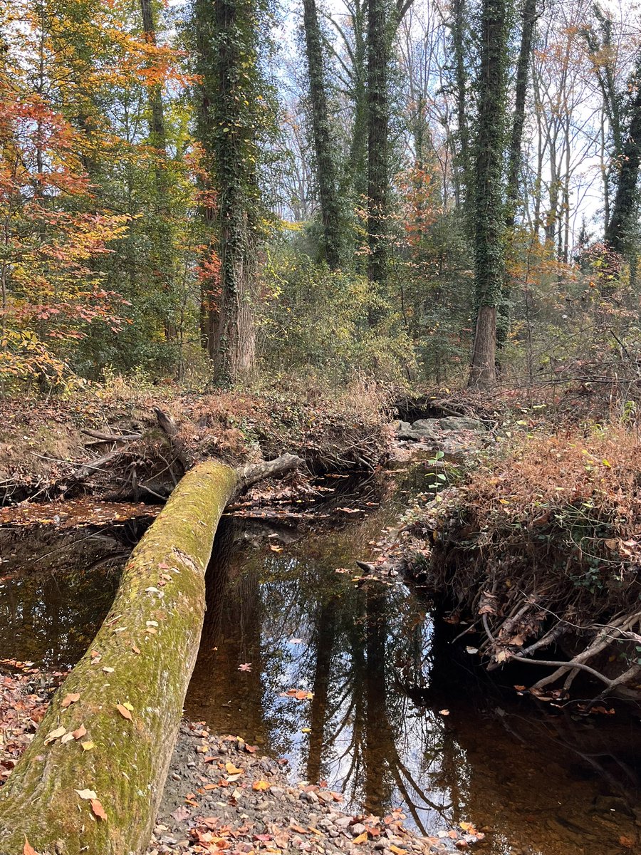 Some sights and surprises from fall