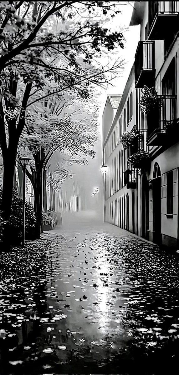 Sakis foto tweet media