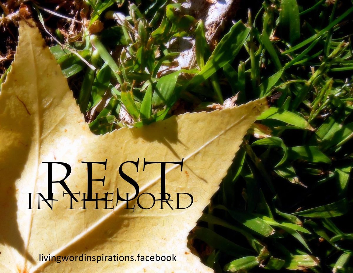 Kimberlyn2Jesus's tweet photo. 🍁🌟🍁🌟🍁🌟🍁…❤️

Rest in the LORD, and wait patiently for Him ~ Psalm 37:7

Photo: Kimberly 

#rest #peace #Jesus #fallleaf #NaturePhotography https://t.co/FZfbf3P3nJ