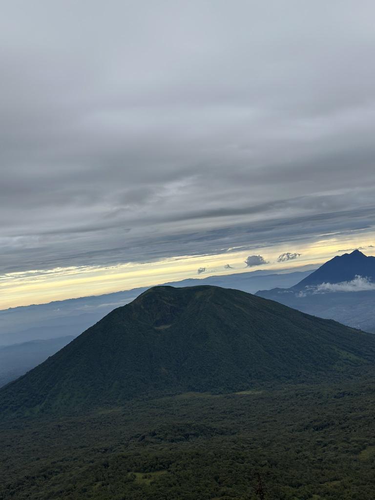 Nestor NIYIGABA tweet media