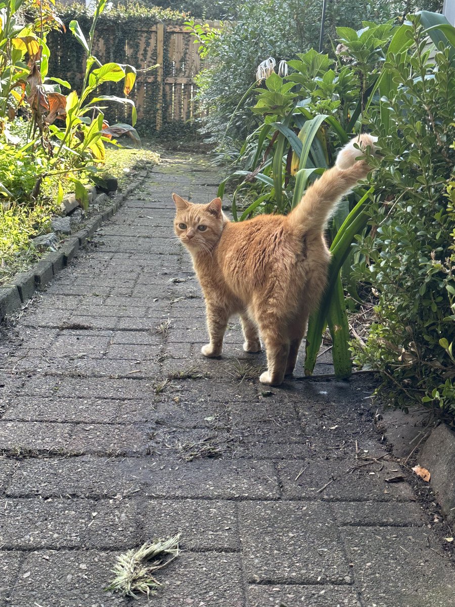 Patrick Skinner tweet media