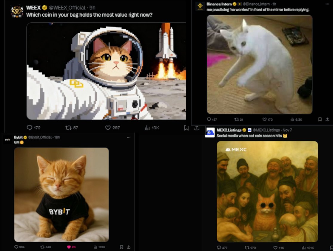 0xToadoshi's tweet photo. Cat Szn, or what are they trying to tell us? 

$Billi @BilliOnMantle 

I'm a #Billiever either way