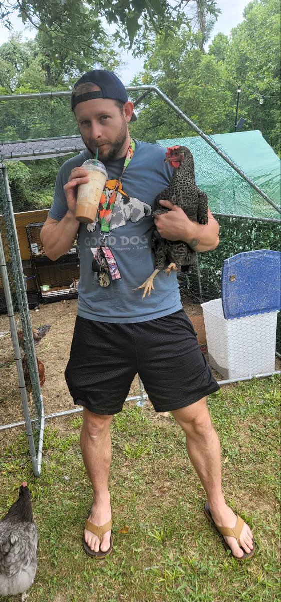 Jericho Fox 🦊 tweet media