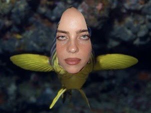 danielgodfrey's tweet image. Billie Eifish.