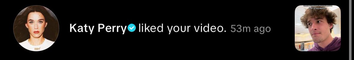 riptaylorsrep's tweet image. HAPPY EARLY BIRTHDAY TO ME!!!