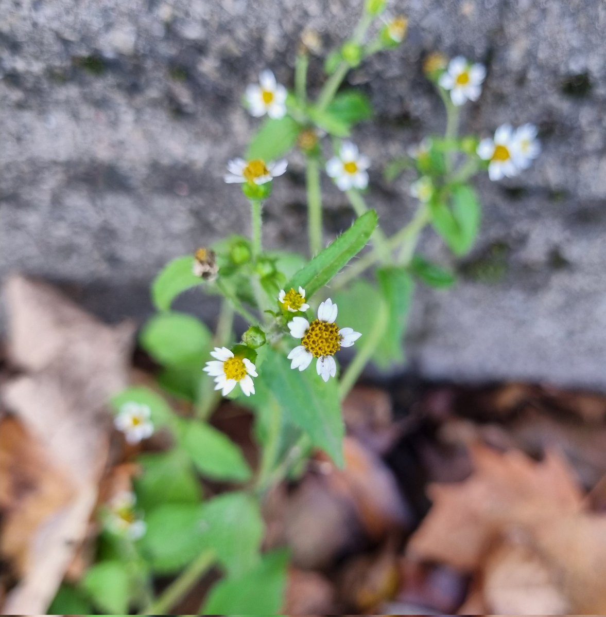 MerielGJones tweet media